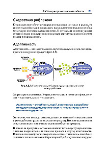 Design of Agile Organizations